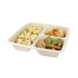 Sugarcane Container 3 Compartments 900ml 23x23x4cm (75 Units)  