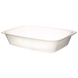 Plastic Tray PP Heat Sealable GS 1/8 15,4x11x3,5cm (50 Units) 