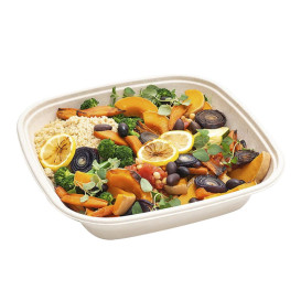 Sugarcane Bowl Natural Square Shape 4500ml 36cm (25 Units)