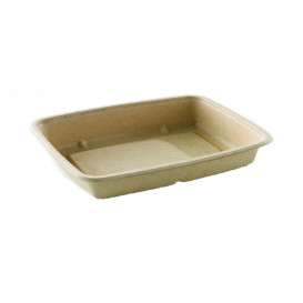 Sugarcane Container PLA 950ml 23x16,5x5cm (300 Units)  