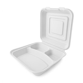 Sugarcane Hinged Container "Menu Box" White 3C 24x23x7,6cm (200 Units)