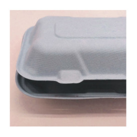 Sugarcane Hinged Container "Menu Box" White 23x15x7,7cm (50 Units) 