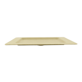 Sugarcane Plate Notched Natural 20 cm (50 Units) 