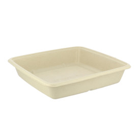 Sugarcane Container 1000ml 23x23x3cm (75 Units)  