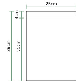 Plastic Bags Adhesive Flap CPP G160 25x35cm (100 Units)  