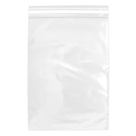 Plastic Bags Adhesive Flap CPP G160 25x35cm (100 Units)  