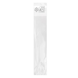 Plastic Bag with Adhesive Flap Cellophane 3x17cm G-160 (100 Units)  