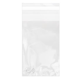 Plastic Bag with Adhesive Flap Cellophane 8x12cm G-160 (100 Units)  