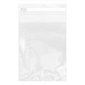 Plastic Bag with Adhesive Flap Cellophane 15x22cm G-160 (100 Units)  