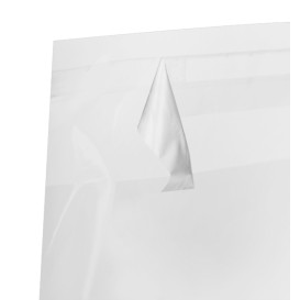 Plastic Bag with Adhesive Flap Cellophane 30x40cm G-160 (100 Units)  