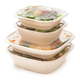 Sugarcane Bowl Natural Square Shape 7000ml 36cm (25 Units)