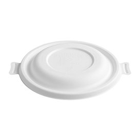 Paper Napkin Pistachio 25x25cm 2C (100 Units)