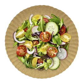 Paper Plate Round Shape Kraft 18cm 255g/m2 (800 Units)