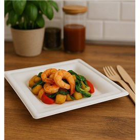 Sugarcane Plate Square White 20x20cm (1000 Units)